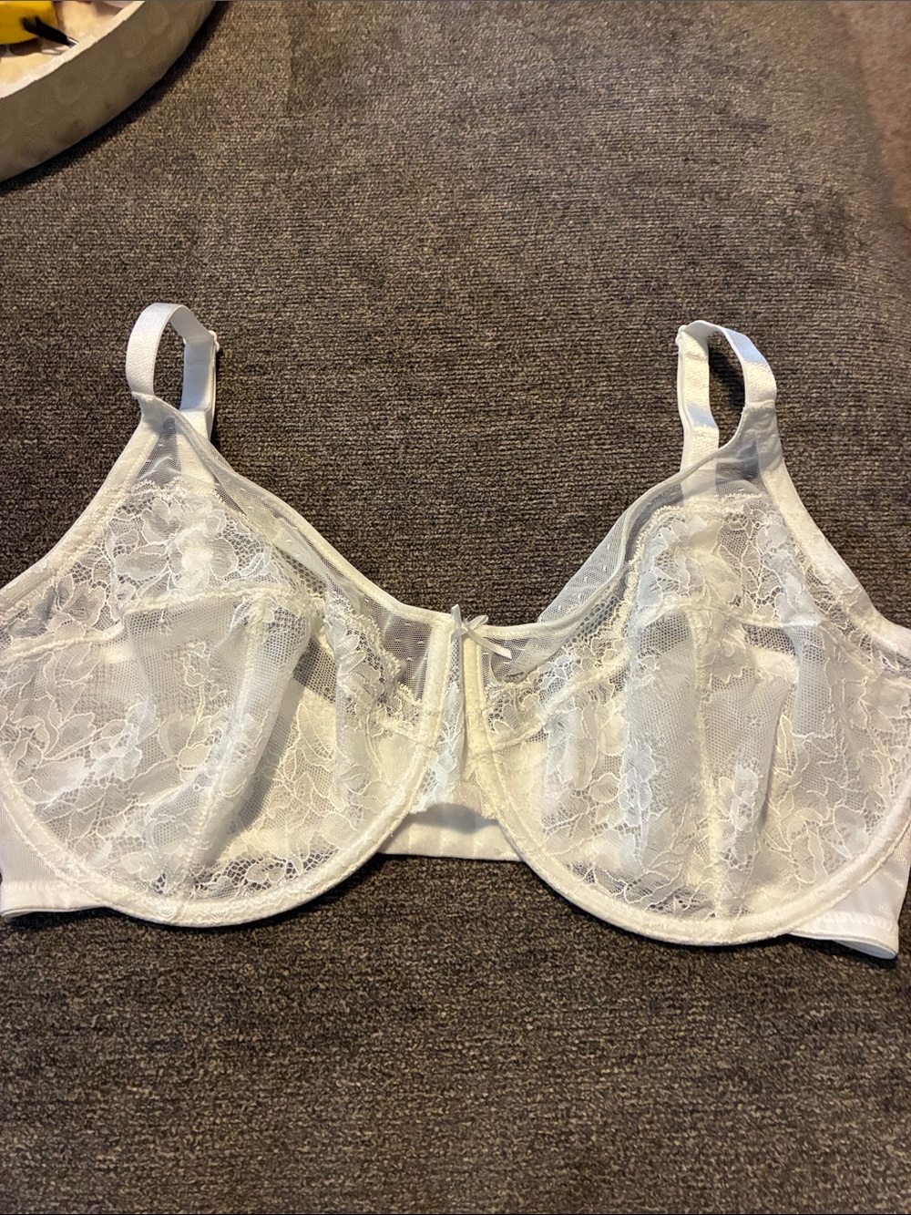 Sheer Lace Underwire Bra - White 36I